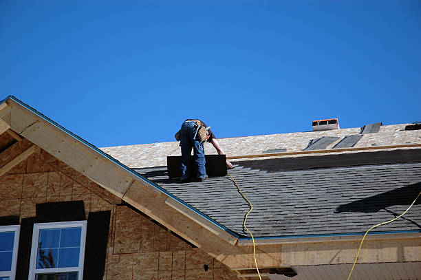 Best Roof Gutter Cleaning  in Dyer, TN